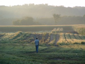 morningfarm brian in the morning fog