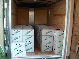 boxes boxes in trailer