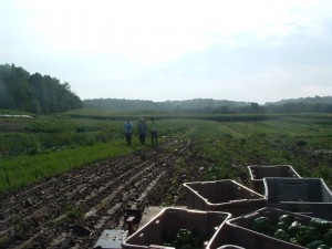 harvestcrew harvest crew