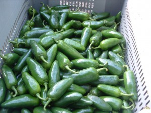 jalapenos jalapenos