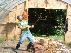 garlicfishing Garlic Fishing